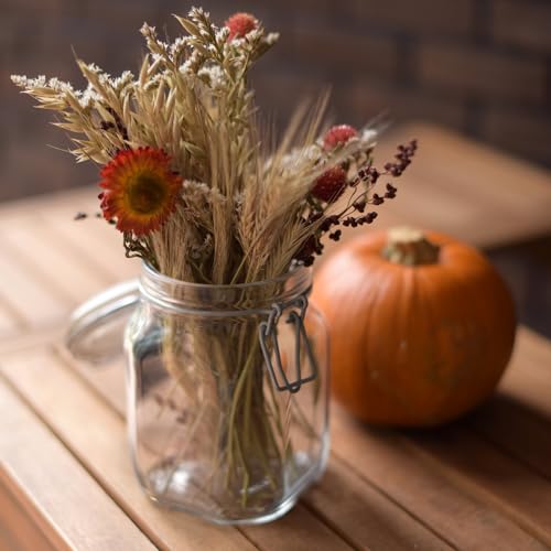 Pote Hermético Fido Bormilo Rocco Transparente